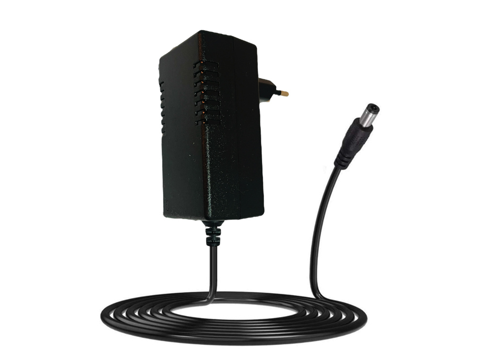 24 Volt 1000Ma Oplader Met Een Ronde Plug